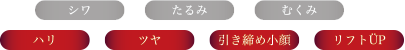 シワ・たるみ・むくみ・ハリ・ツヤ・引き締め小顔・リフトUP